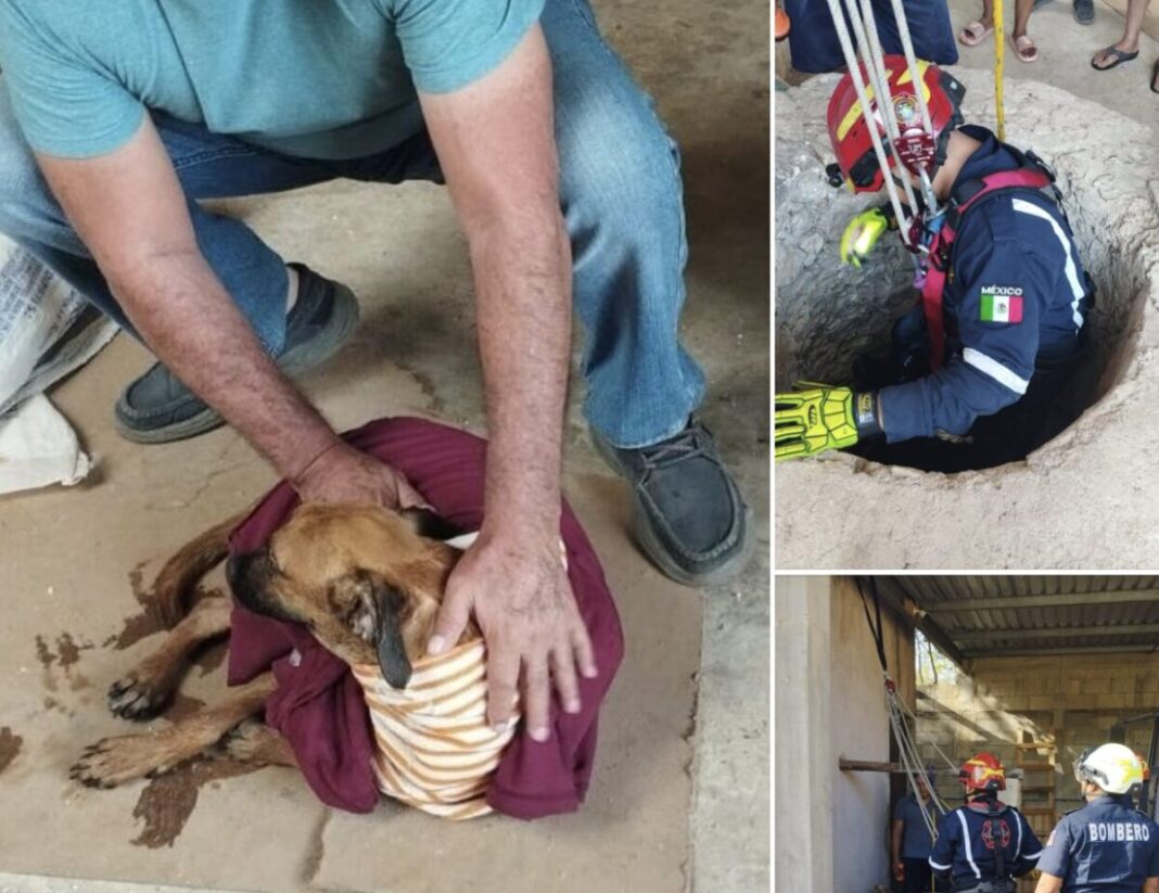 Bomberos rescatan a 