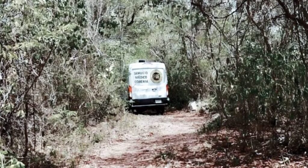 Hombre pierde la vida al ser confundido por un venado en Tizimín