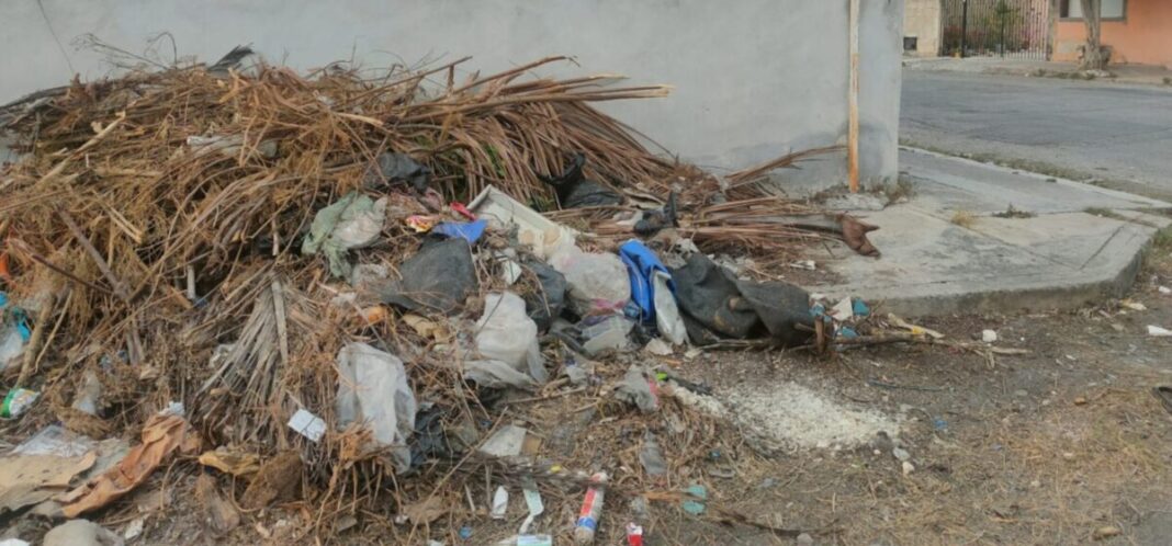 ¡Tirar basura en la calle podría costarte hasta $56 mil pesos!
