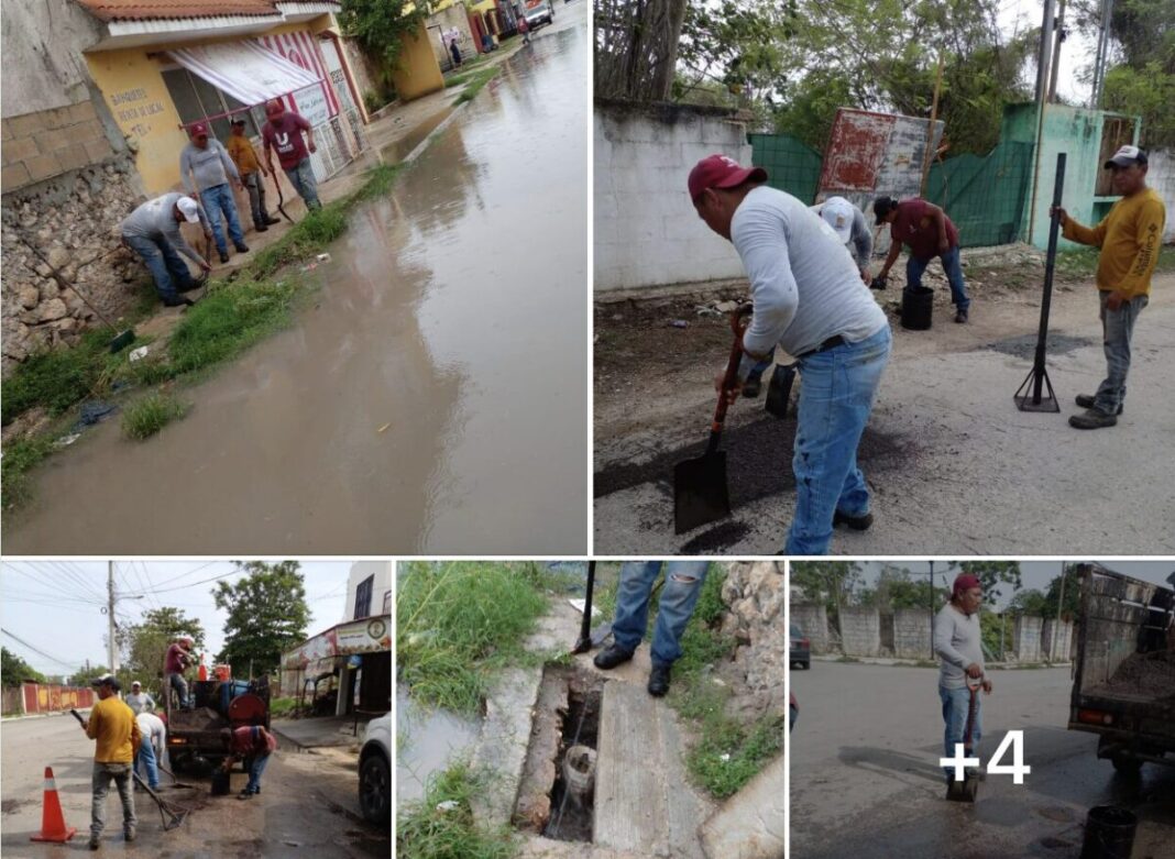 Cuadrillas de bacheo y desazolve en calles de Itzincab, Umán