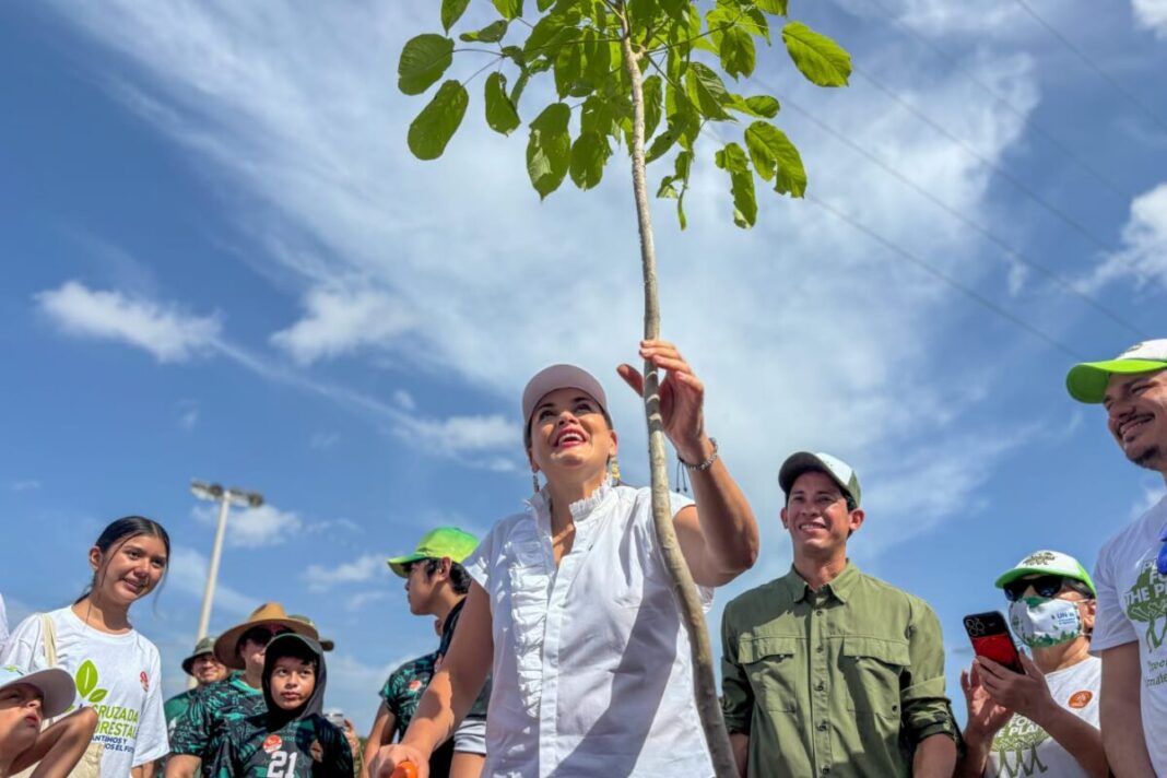 Cecilia Patrón plantando árboles en el inicio de la Cruzada Forestal 2025 en Mérida