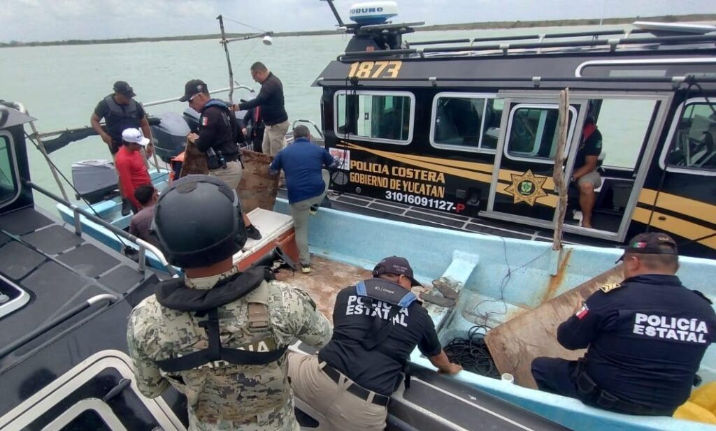 Autoridades federales y estatales frenan pesca furtiva en Celestún 