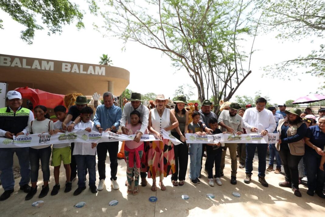 Cecilia Patrón Laviada/ Inauguran nuevo felinario 