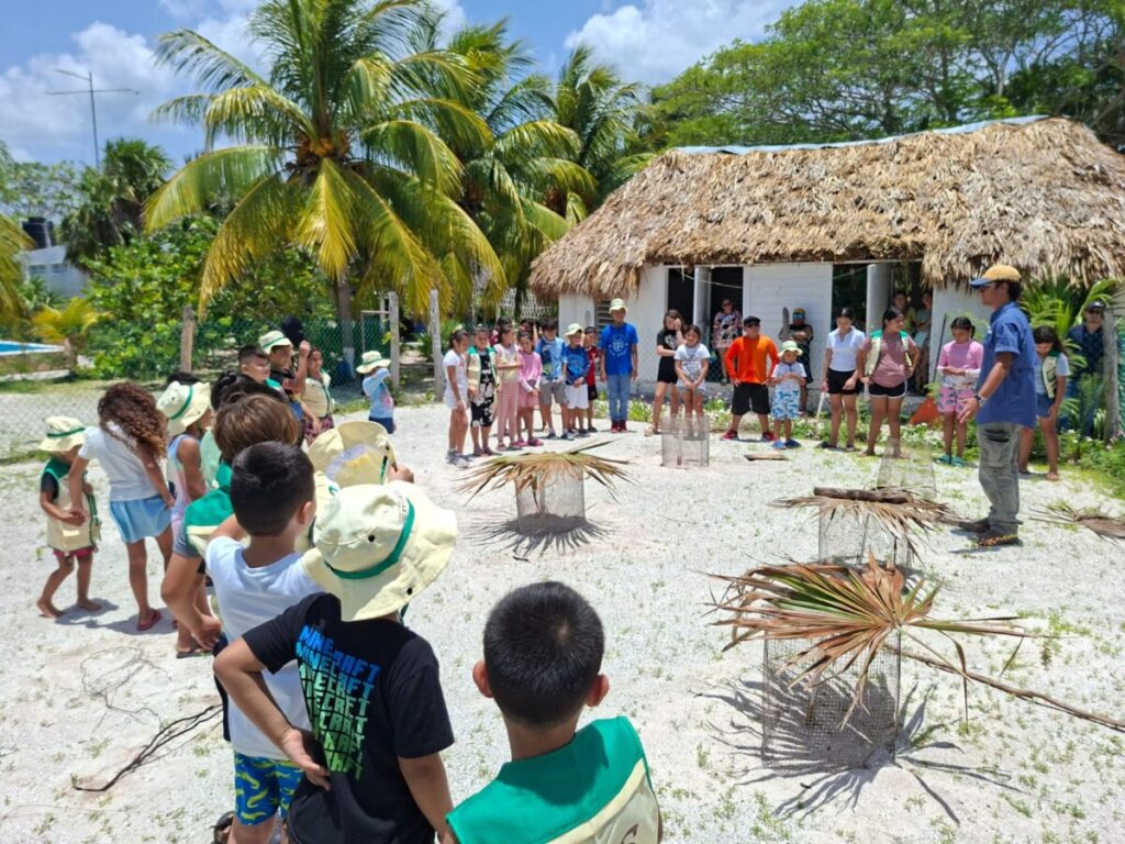 Gobierno promueve el cuidado de tortugas marinas entre infancias yucatecas