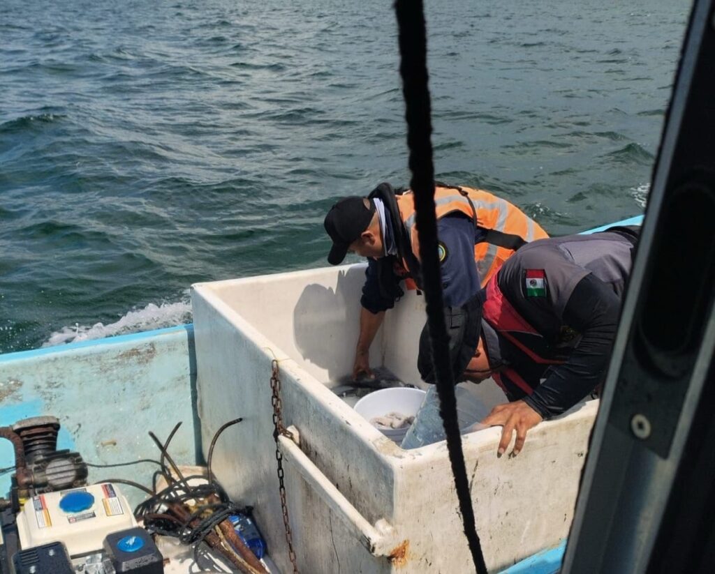 Pescadores furtivos son detenidos en Dzilam de Bravo, Yucatán