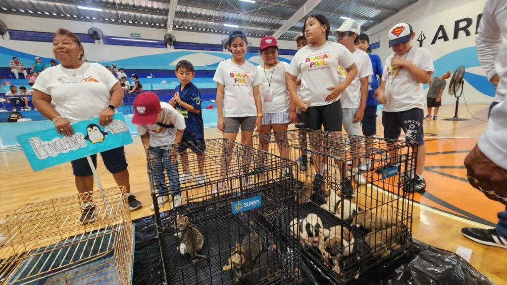 Ayuntamiento promueve el cuidado de la Flora y Fauna de Progreso