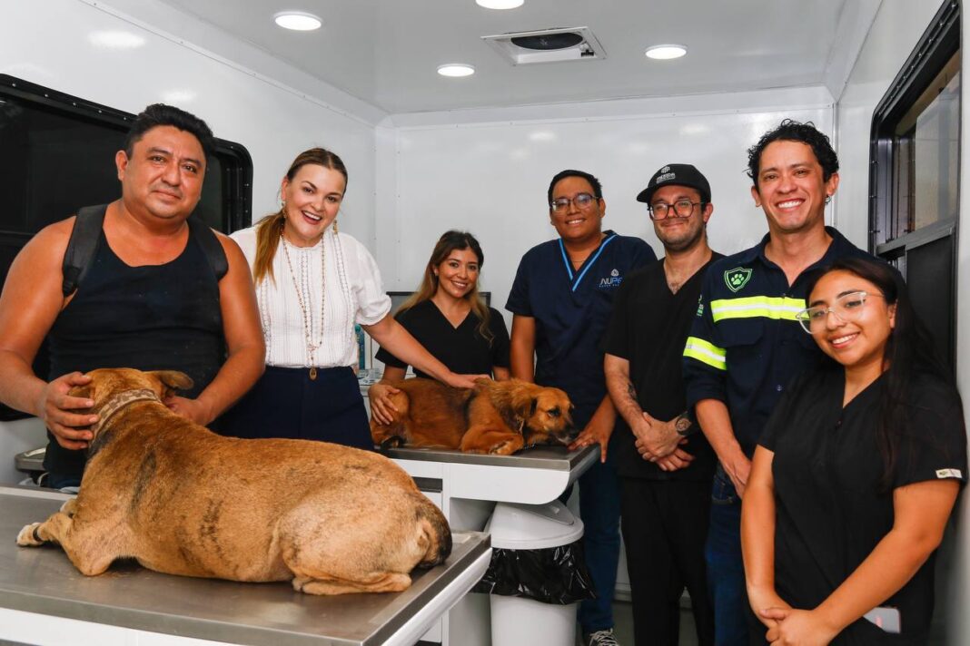 Cecilia Patrón continúa con la Mega Jornada de Esterilización gratis para mascotas