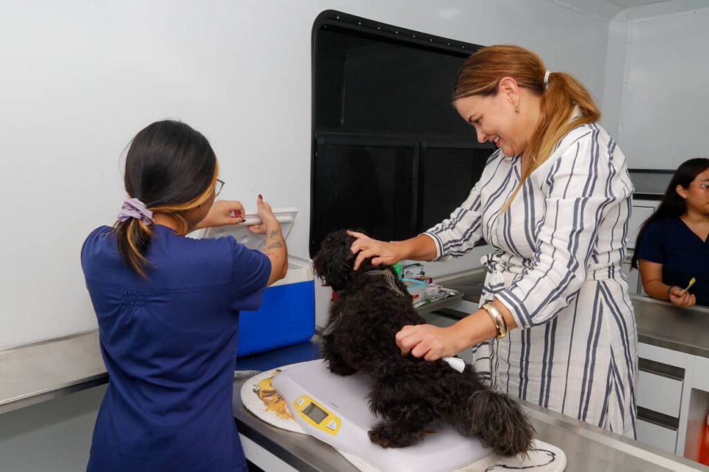 Cecilia Patrón continúa con la Mega Jornada de Esterilización gratis para mascotas