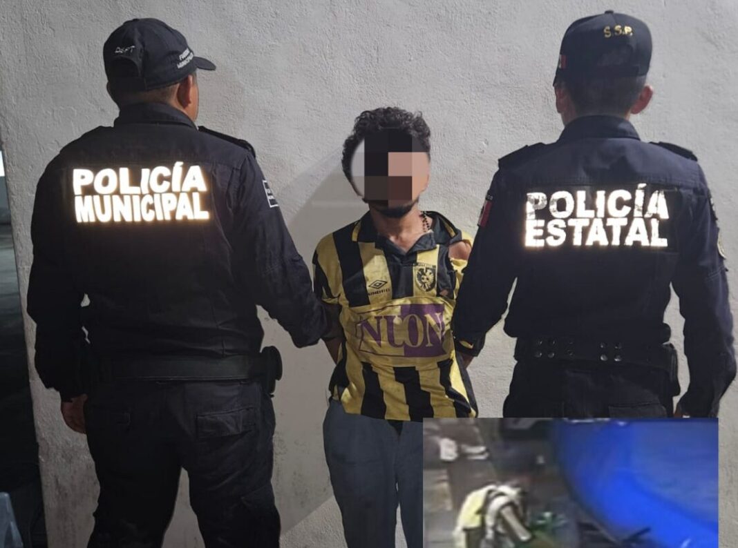 Detienen a sujeto por rata en Progreso