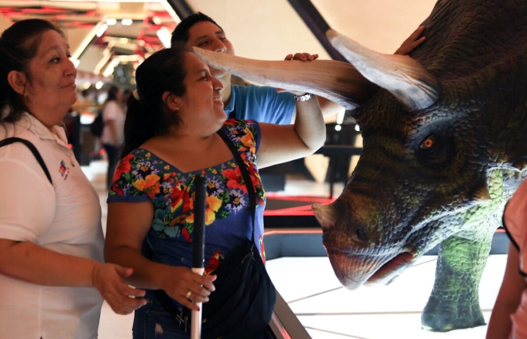 DIF Yucatán acerca ciencia y cultura a personas con discapacidad visual