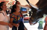 DIF Yucatán acerca ciencia y cultura a personas con discapacidad visual