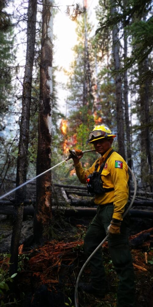 Yucateco se une al combate de incendios forestales en Canadá