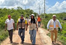 Renacimiento Maya verifican los avances del programa de caminos sacacosechas en Sacalum
