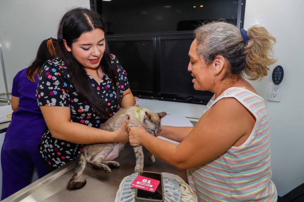 Cecilia Patrón continúa con la Mega Jornada de Esterilización gratis para mascotas
