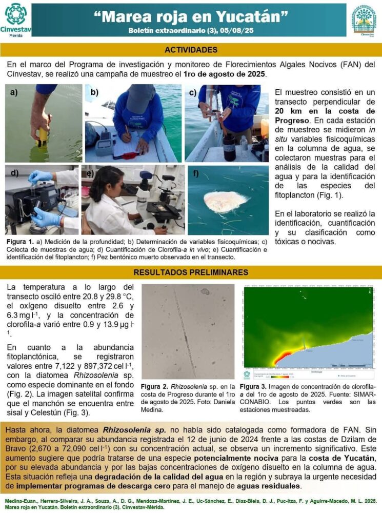 CINVESTAV informa presunta Marea Roja en Progreso