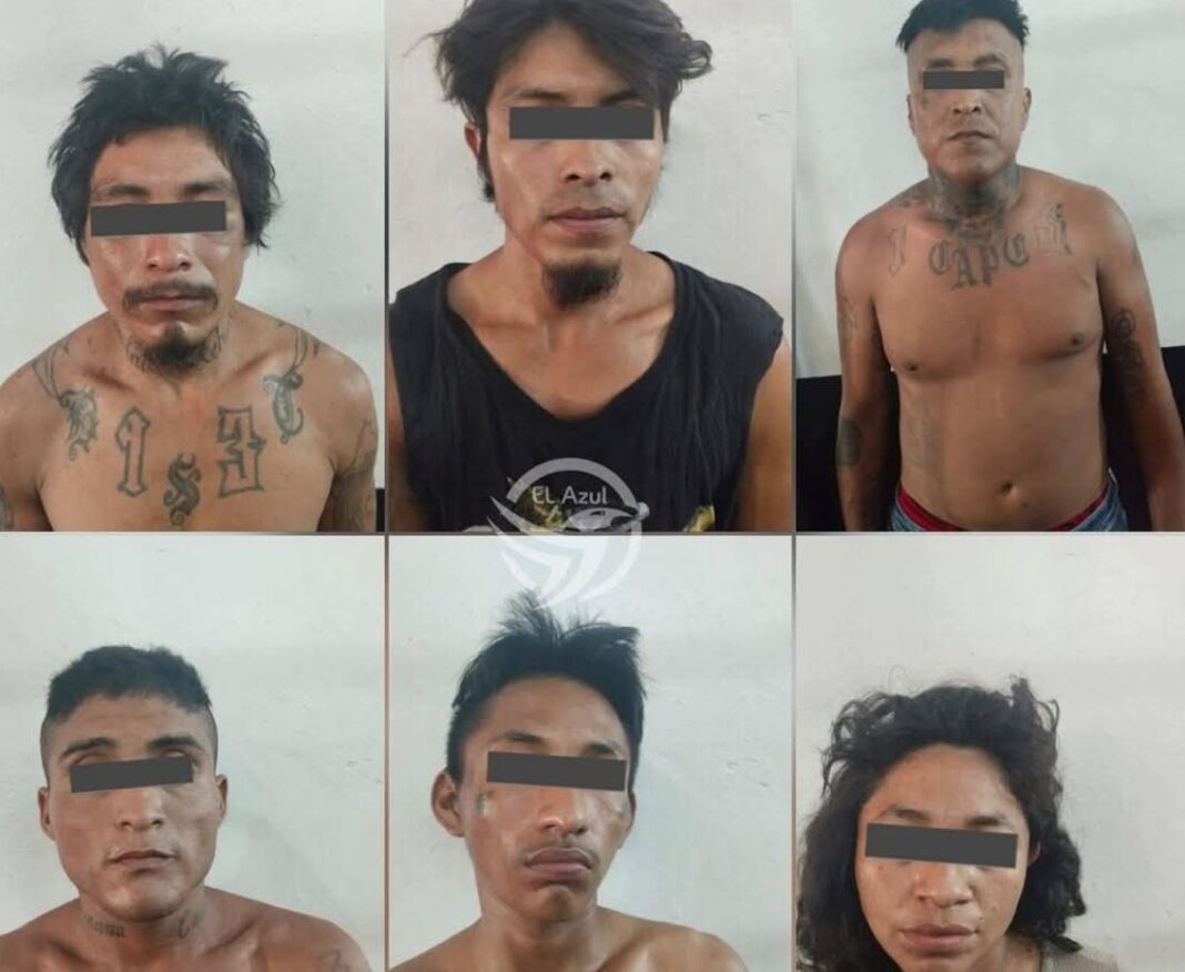 Seis ratas más detenidas por robar en un predio en Umán