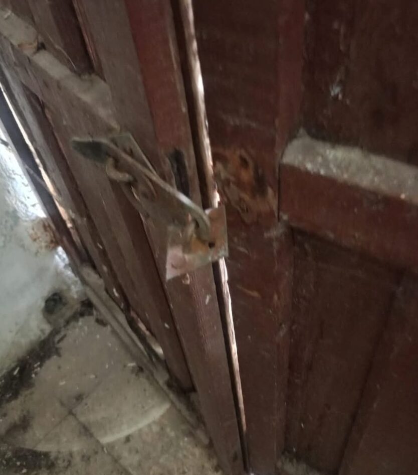 Seis ratas más detenidas por robar en un predio en Umán