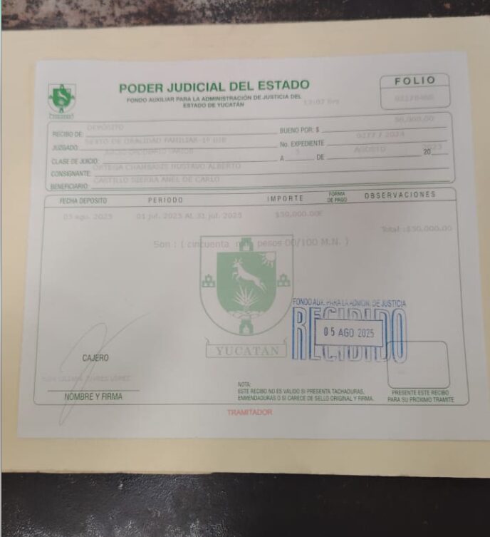 ¡Indignación en Yucatán! Padre paga 50 mil de pensión, no puede ver casi a su hijo y la madre sola de vacaciones en Miami