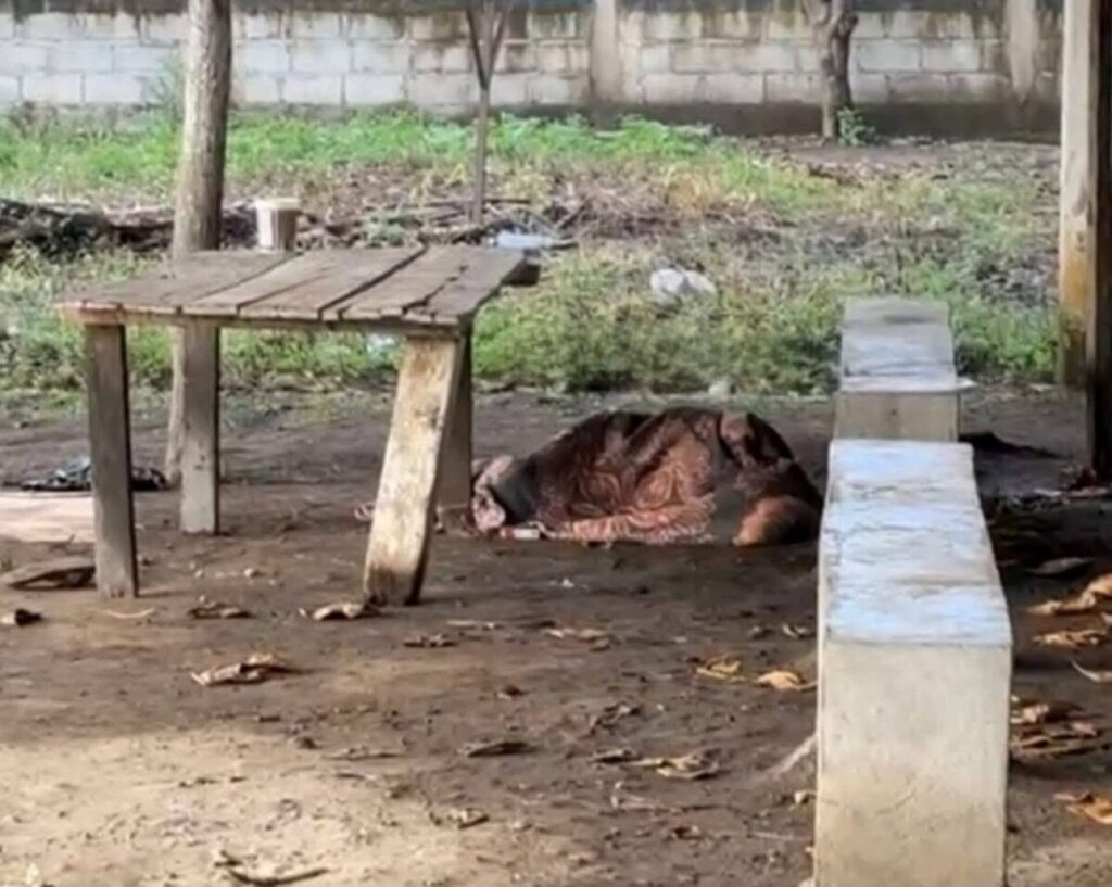 Hombre es comido por los gusanos en Chiapas