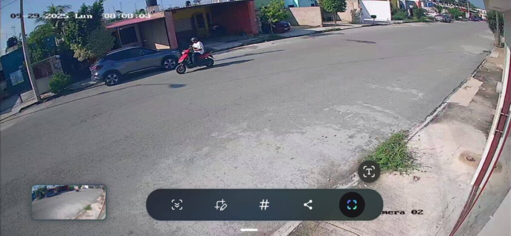 Sujeto abandona en una casa a un perrito en Villas Oriente, Kanasín