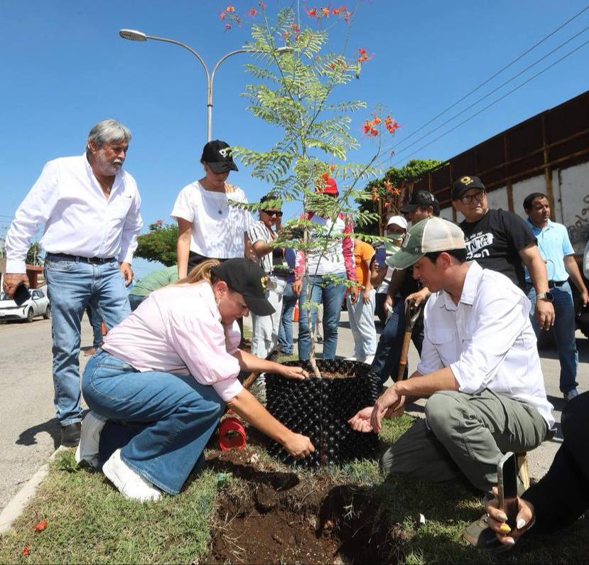 Cecilia Patrón lucha día a día por una Mérida con más árboles 