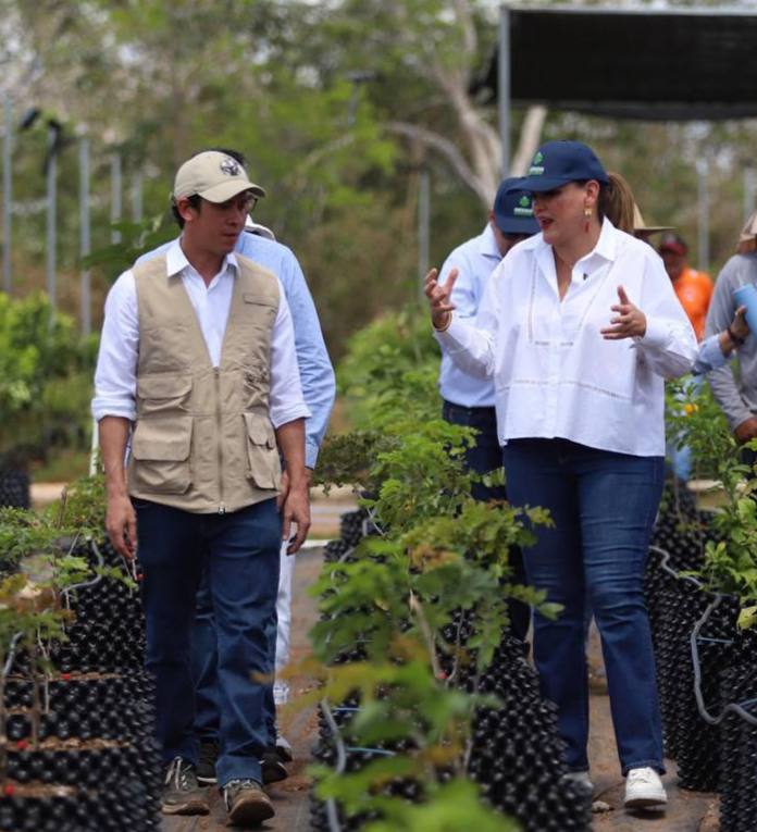 Cecilia Patrón lucha día a día por una Mérida con más árboles 