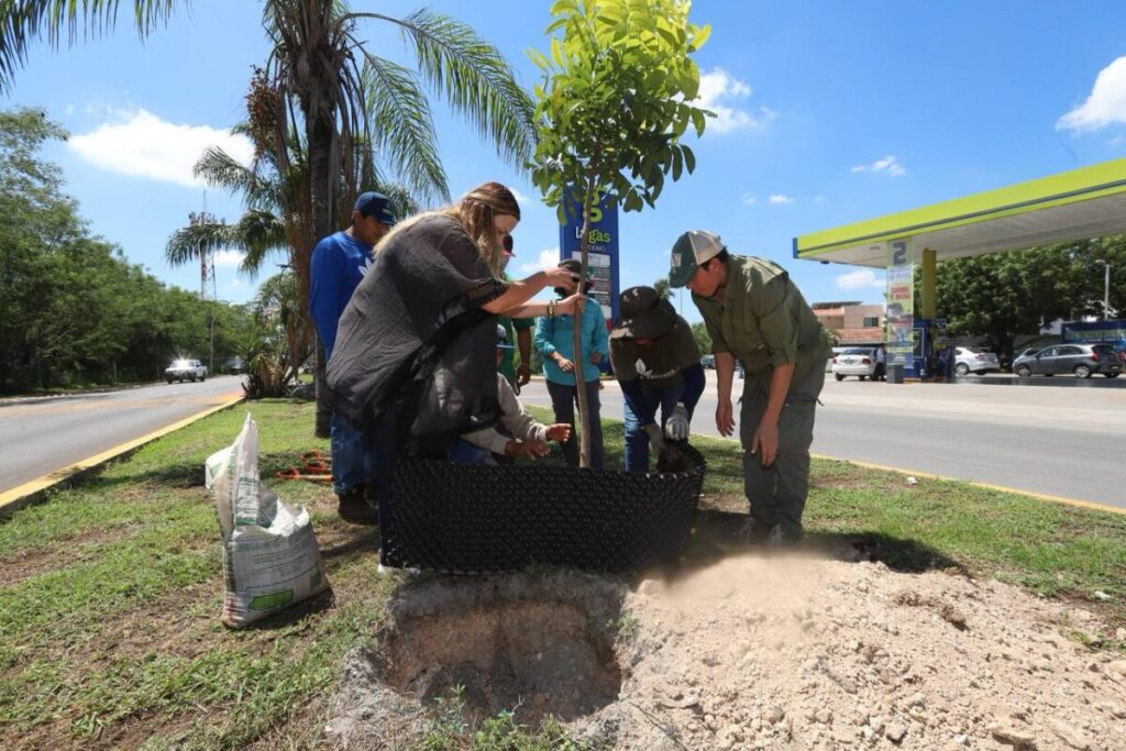 Cecilia Patrón lucha día a día por una Mérida con más árboles 