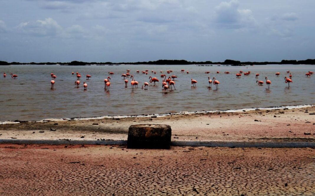 Gobierno se suma para enfrentar el cambio climático en Yucatán