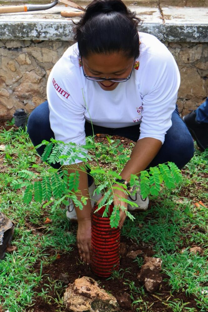 Gobierno se suma para enfrentar el cambio climático en Yucatán