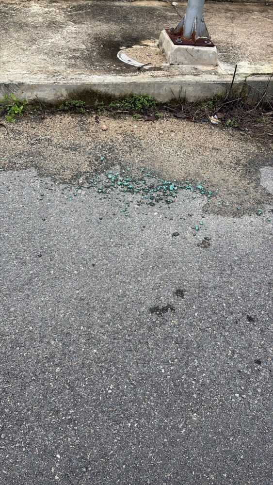 Reportan crueldad animal en Cholul