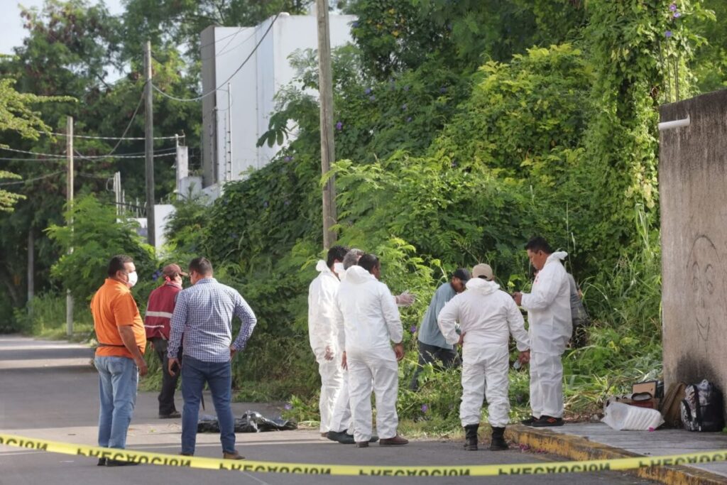 Crematorio de mascotas tiraba los restos de los perritos y gatos en un terreno en Chetumal, Quintana Roo