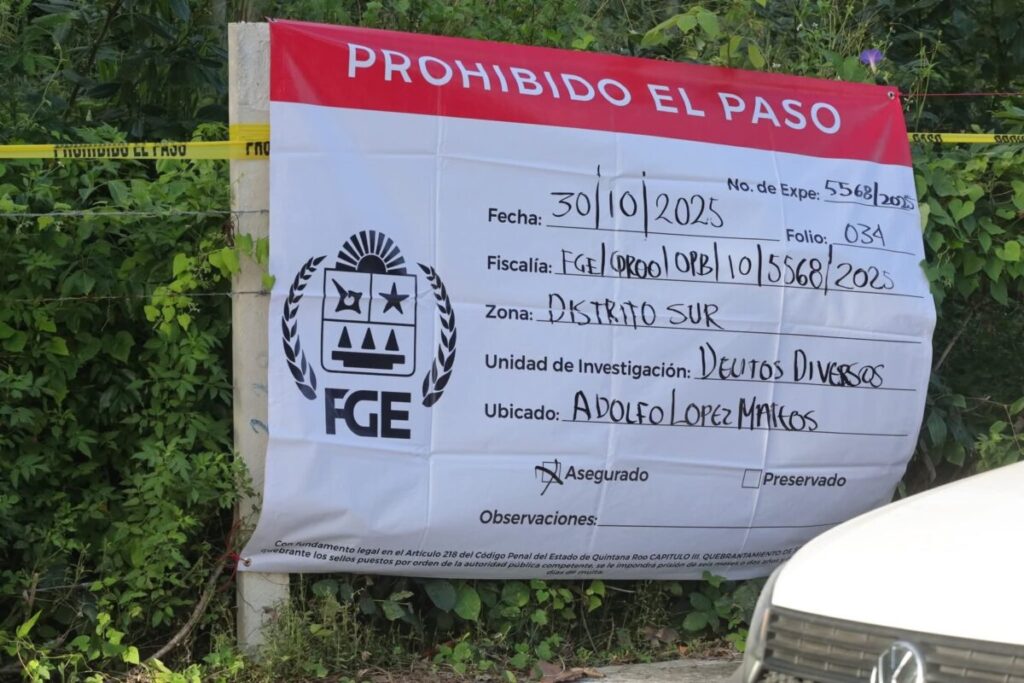 Crematorio de mascotas tiraba los restos de los perritos y gatos en un terreno en Chetumal, Quintana Roo