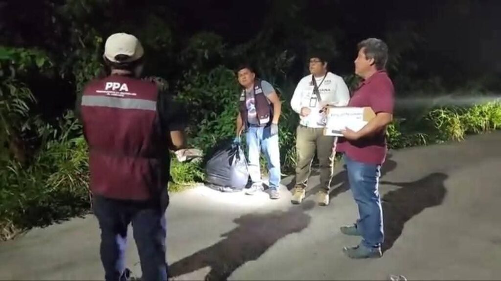 Crematorio de mascotas tiraba los restos de los perritos y gatos en un terreno en Chetumal, Quintana Roo