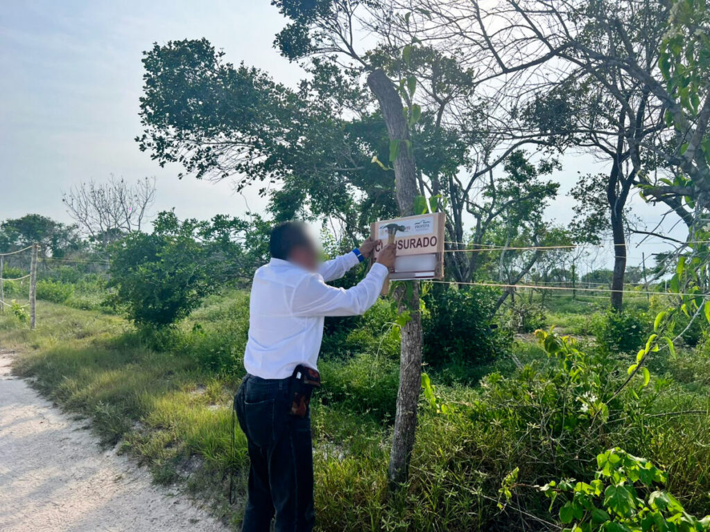 Profepa clausura a 3 predios por daño de suelo en la Reserva de la Biosfera Ría Celestún