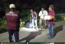 Crematorio de mascotas tiraba los restos de los perritos y gatos en un terreno en Chetumal, Quintana Roo