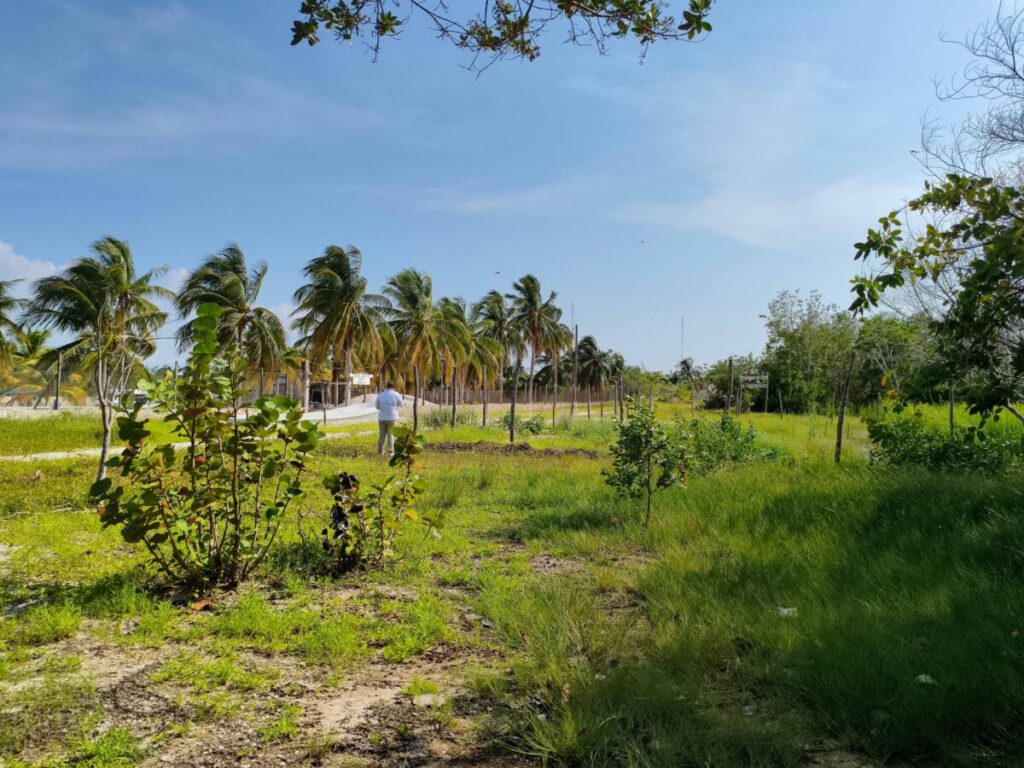Profepa clausura a 3 predios por daño de suelo en la Reserva de la Biosfera Ría Celestún
