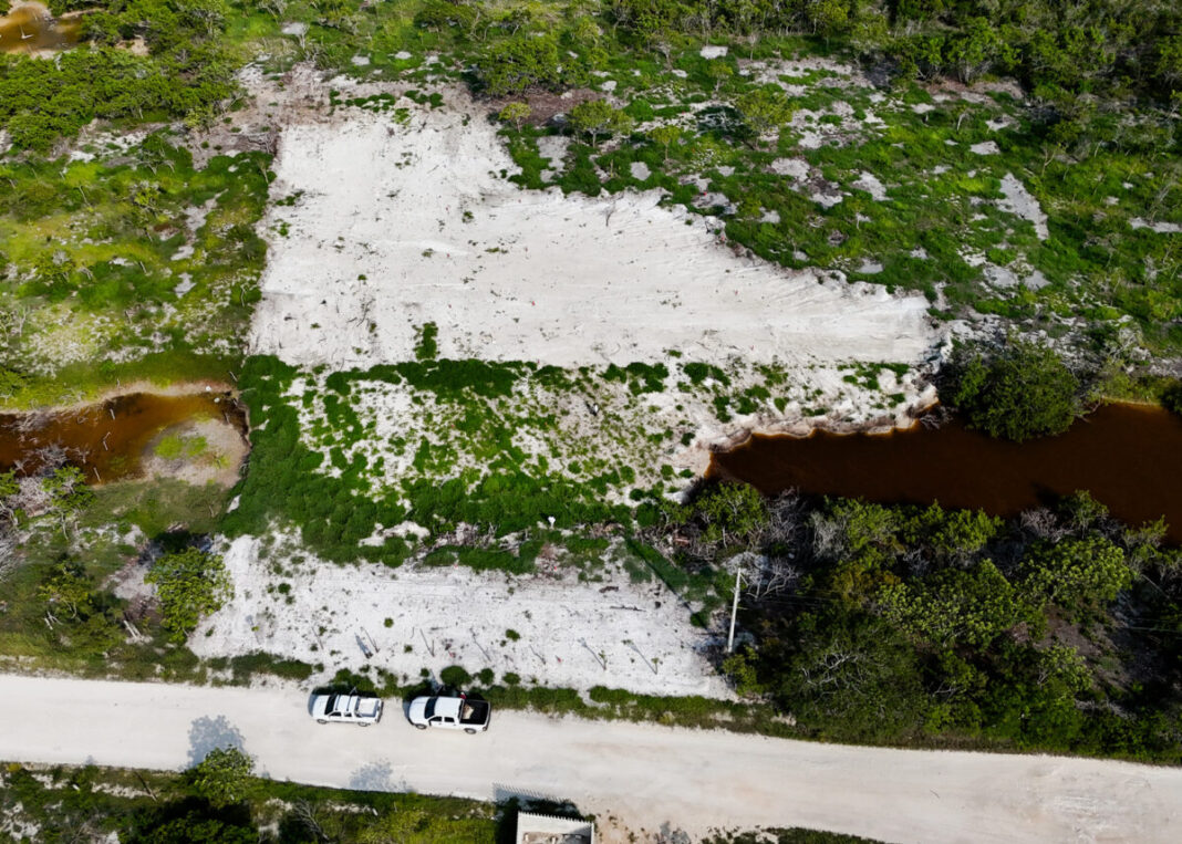 Profepa clausura a 3 predios por daño de suelo en la Reserva de la Biosfera Ría Celestún