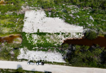 Profepa clausura a 3 predios por daño de suelo en la Reserva de la Biosfera Ría Celestún