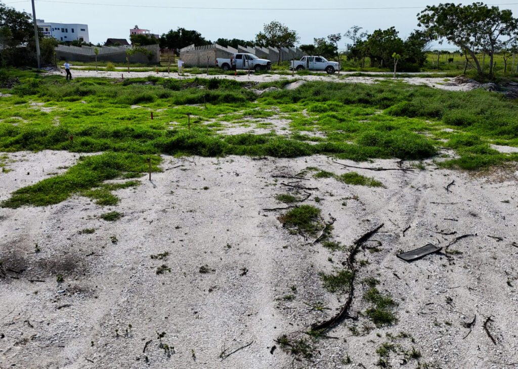 Profepa clausura a 3 predios por daño de suelo en la Reserva de la Biosfera Ría Celestún