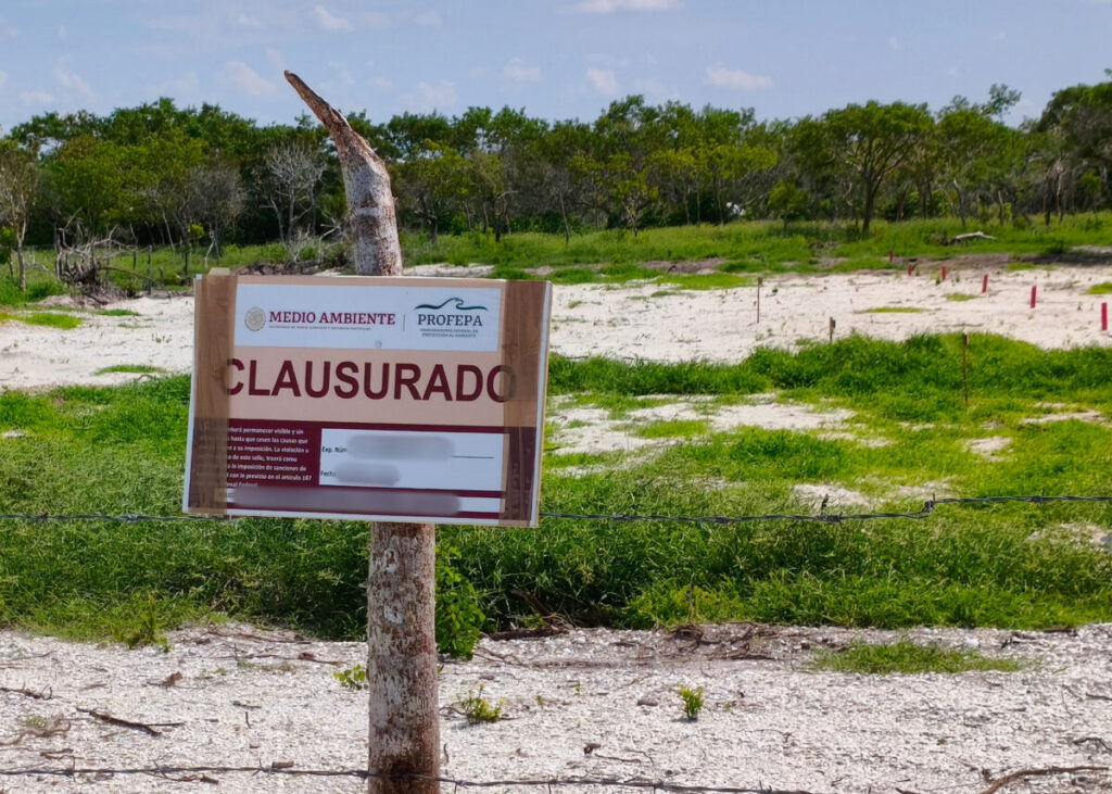 Profepa clausura a 3 predios por daño de suelo en la Reserva de la Biosfera Ría Celestún