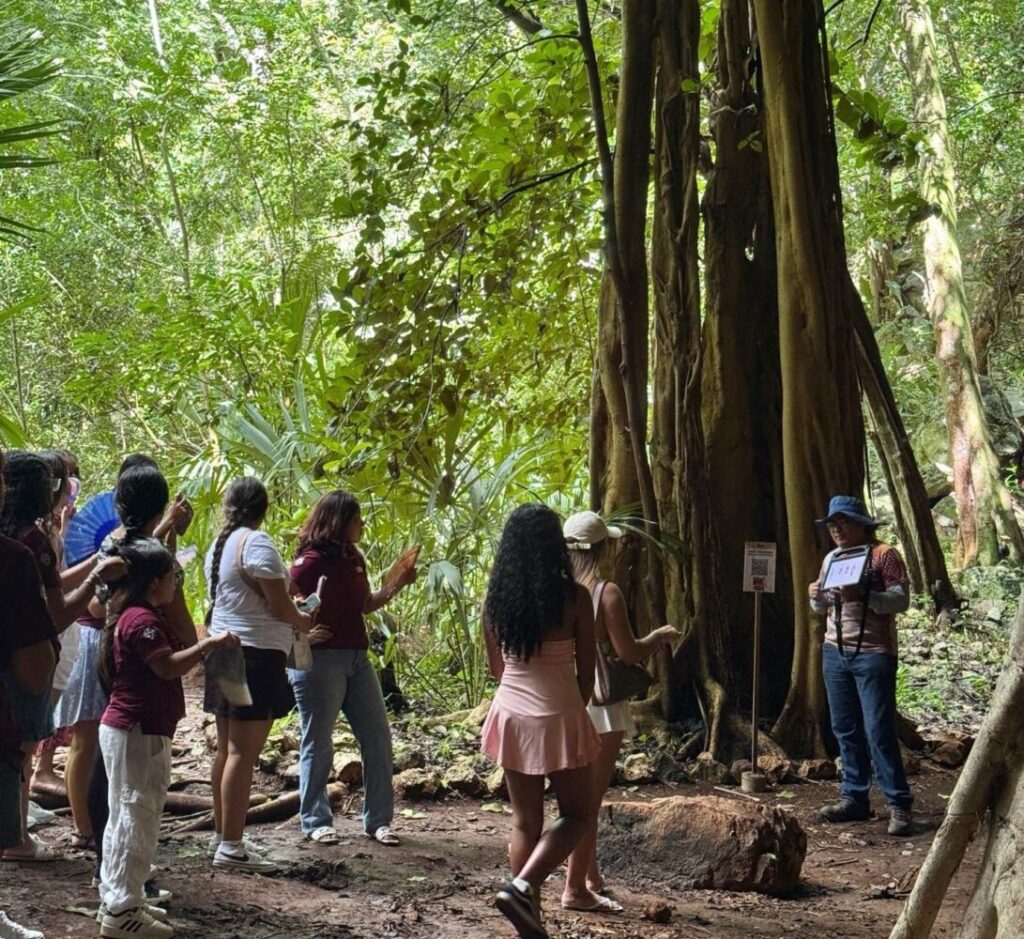 Renacimiento Maya reforzará promoción turística en municipios de Yucatán