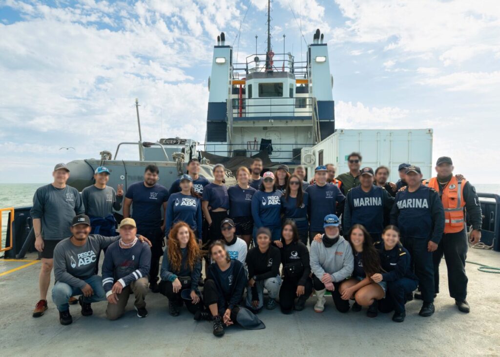 Liberan y rescatan a dos lobos marinos en Isla Consag de Baja California (desenmallan)