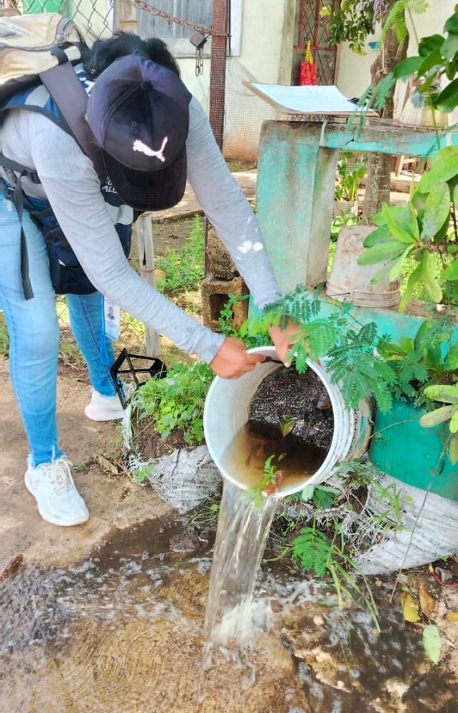 Ayuntamiento de Kanasín intensifica acciones contra el mosco transmisor del dengue