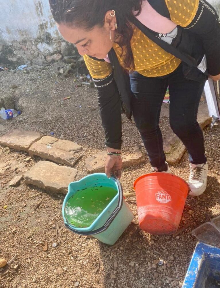 Ayuntamiento de Kanasín intensifica acciones contra el mosco transmisor del dengue