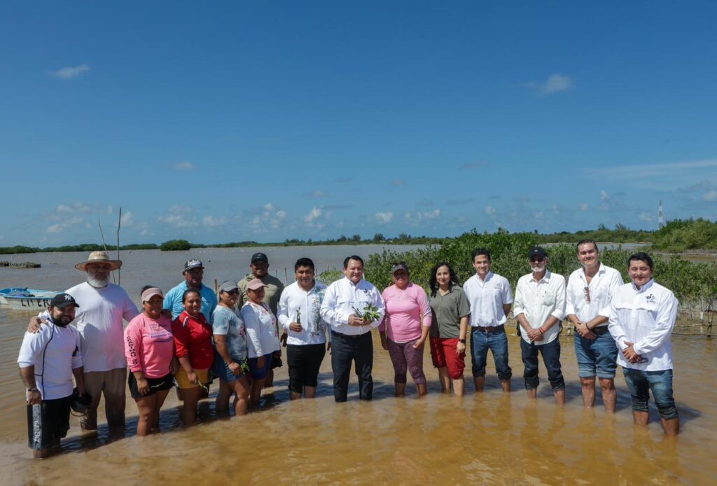 Restauración de Manglares en Yucatán por el Gobierno Estatal.