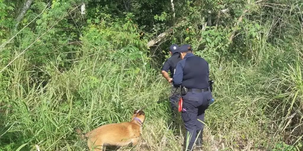 Detiene Mauricio A. "N", joven que presuntamente se llevó fallecido, Joel Lizandro López Colli a Tulum, Quintana Roo
