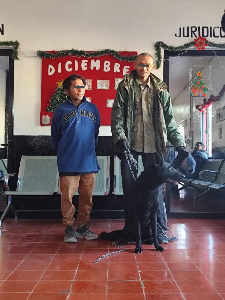 Policía de Umán recupera a “Frida” y frustra intento de extorsión tras robo de mascota