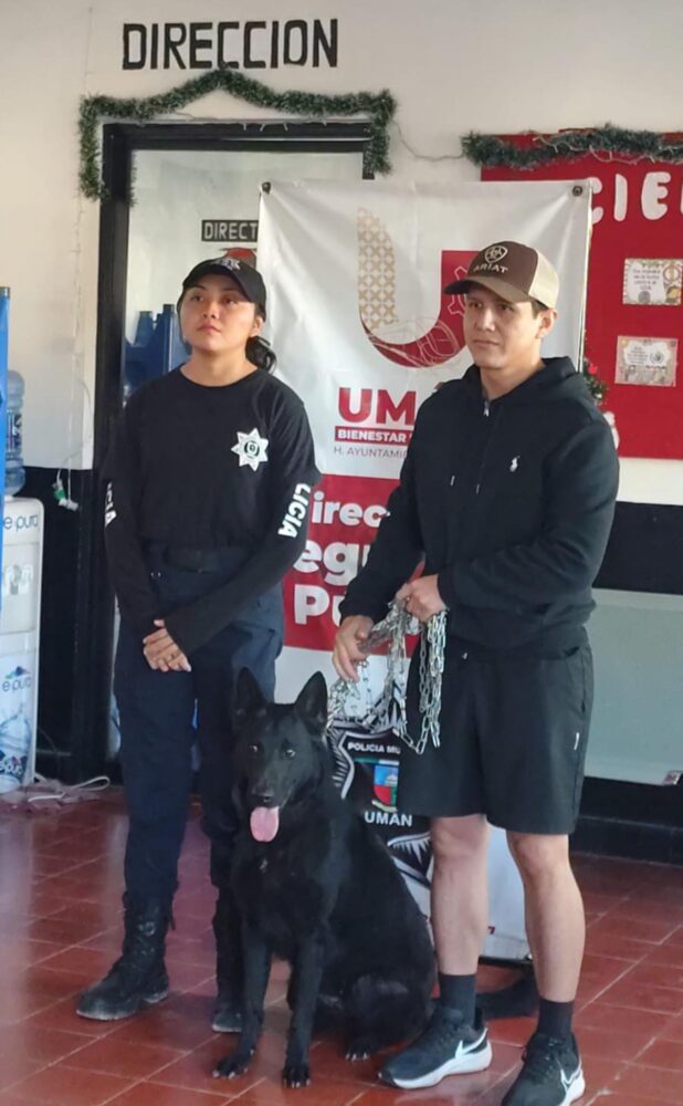 Policía de Umán recupera a “Frida” y frustra intento de extorsión tras robo de mascota