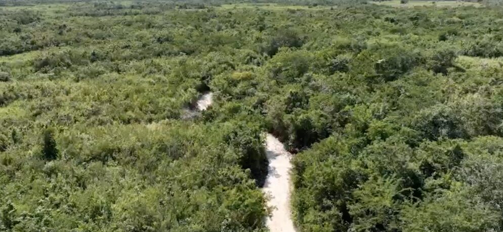 Renacimiento Maya mejora producción agrícola con la construcción de Caminos Renacimiento en Dzitás
