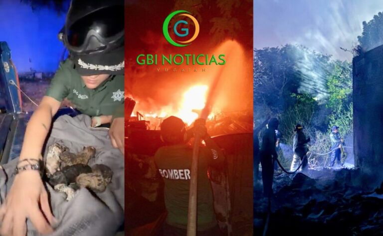 Se rescatan a seis perritos y se sofoca incendio de bodega de Polígono San Pedro Kanasín